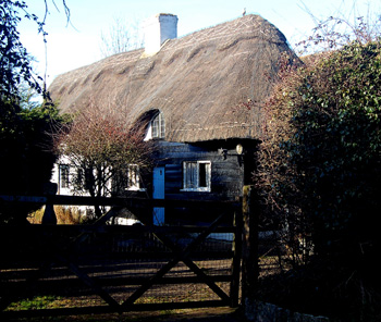 Thatch End - 54 Mill Lane February 2011
